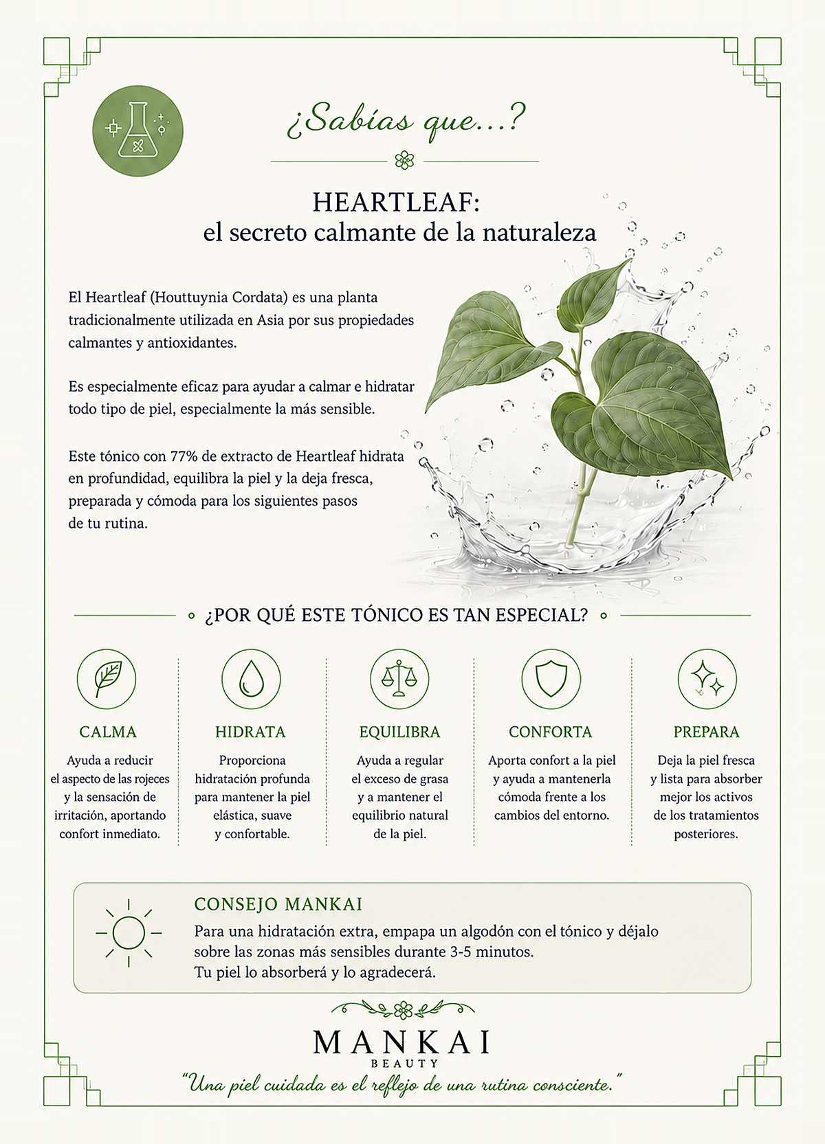 Anua · Heartleaf 77 reverso